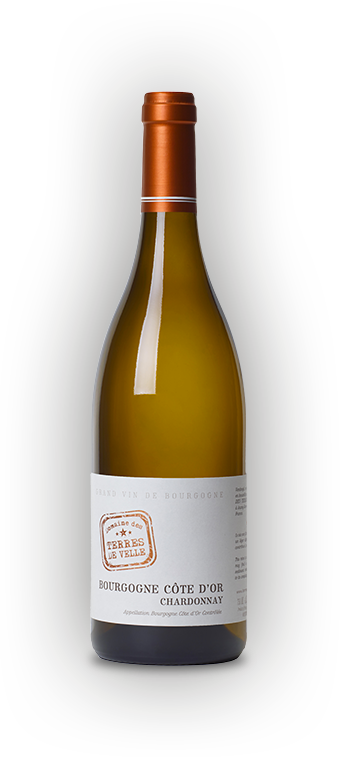 Bourgogne Côte d'Or  Chardonnay